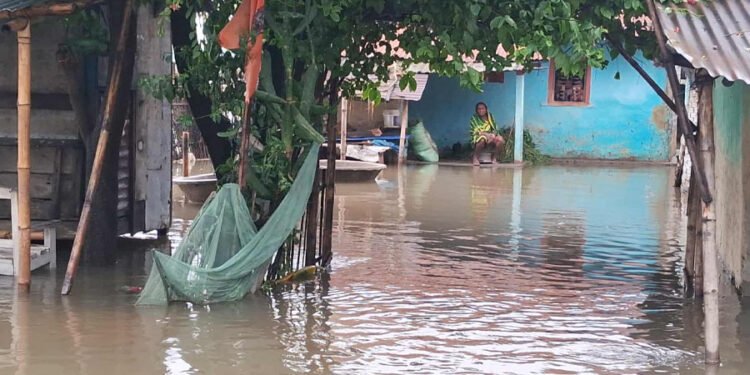 नारायणी नदीको बाढी सुस्ताको बस्तीमा पस्दा स्थानीय प्रभावित