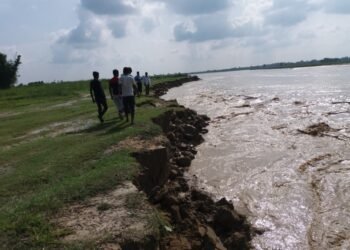 लालपुर्जा हातमा, जमिन बलानमा