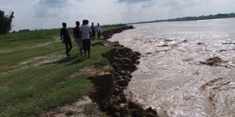 लालपुर्जा हातमा, जमिन बलानमा