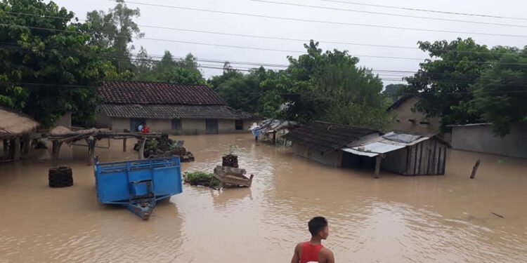 सप्तरीका ५०० घर डुबानमा