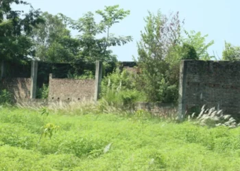 शीतभण्डार आयोजना अलपत्र,किसानको जग्गा सात वर्षदेखि उपयोगविहीन