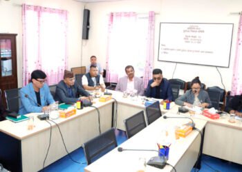संसदीय समितिद्वारा सुरुङमा फसेकाको उद्धारमा प्राथमिकता दिन निर्देशन