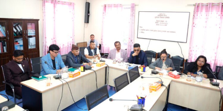 संसदीय समितिद्वारा सुरुङमा फसेकाको उद्धारमा प्राथमिकता दिन निर्देशन