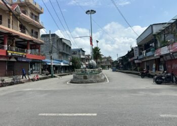 सौराहाका होटलका पर्यटकको प्रश्न : नेपालको विपदमा कसरी रमाउनु ?