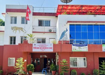 तनहुँका ६७ हजार परिवारको जीविकासँग जोडिँदै सामुदायिक वन