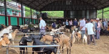 चाडपर्व नजिकिएसँगै धरानमा खसीबोकाको कारोबार बढ्यो