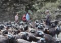 रेशमी मार्गको विरासत धानेको च्याङ्ग्रा व्यापार