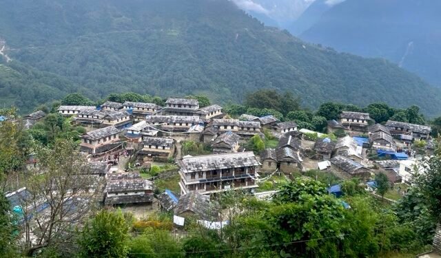 बाटो सहज भएपछि घान्द्रुक जाने पर्यटक बढ्दै
