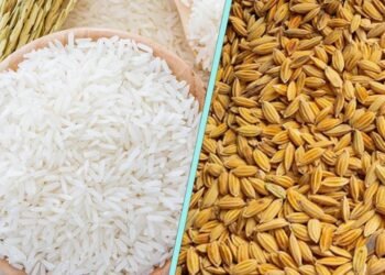 धानचामल आयातमै साढे ४ अर्ब बाहिरियो, तीन महिनामै भित्रियो ५७ हजार टन