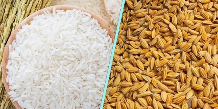 धानचामल आयातमै साढे ४ अर्ब बाहिरियो, तीन महिनामै भित्रियो ५७ हजार टन
