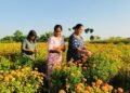 सामूहिक फूलखेतीबाट आम्दानी गर्दै शिवसताक्षीका महिला
