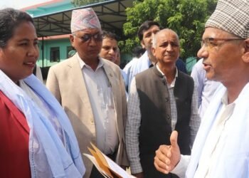 काठ आयात प्रतिस्थापन गर्ने सरकारको कार्ययोजना