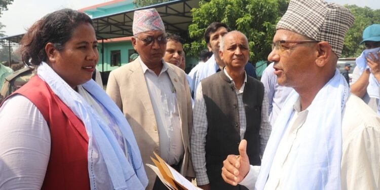 काठ आयात प्रतिस्थापन गर्ने सरकारको कार्ययोजना