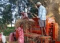 कपिलवस्तुका किसान धान दाइँमा आधुनिक थ्रेसरको प्रयोगतर्फ आकर्षित