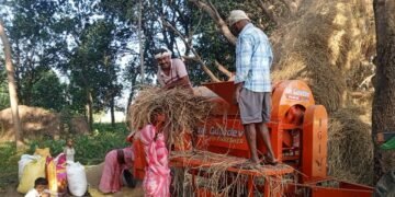 कपिलवस्तुका किसान धान दाइँमा आधुनिक थ्रेसरको प्रयोगतर्फ आकर्षित