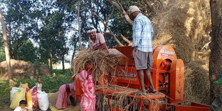 कपिलवस्तुका किसान धान दाइँमा आधुनिक थ्रेसरको प्रयोगतर्फ आकर्षित