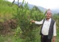 धानखेतमा कागतीखेती, नमुना किसान बने कृष्णलाल
