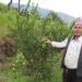 धानखेतमा कागतीखेती, नमुना किसान बने कृष्णलाल