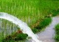 सिँचाइका लागि विद्युत् सेवा विस्तार