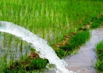 सिँचाइका लागि विद्युत् सेवा विस्तार