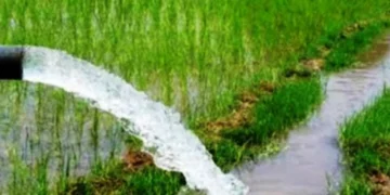 सिँचाइका लागि विद्युत् सेवा विस्तार