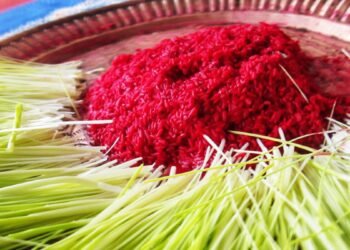 यस वर्षको बडादशैं आजबाट सकिँदै, धनधान्यकी देवी महालक्ष्मीको पूजा आराधना गरिदै